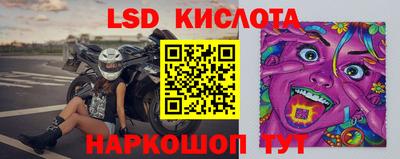 spice Моздок