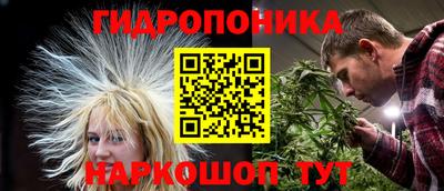 mdma Можга