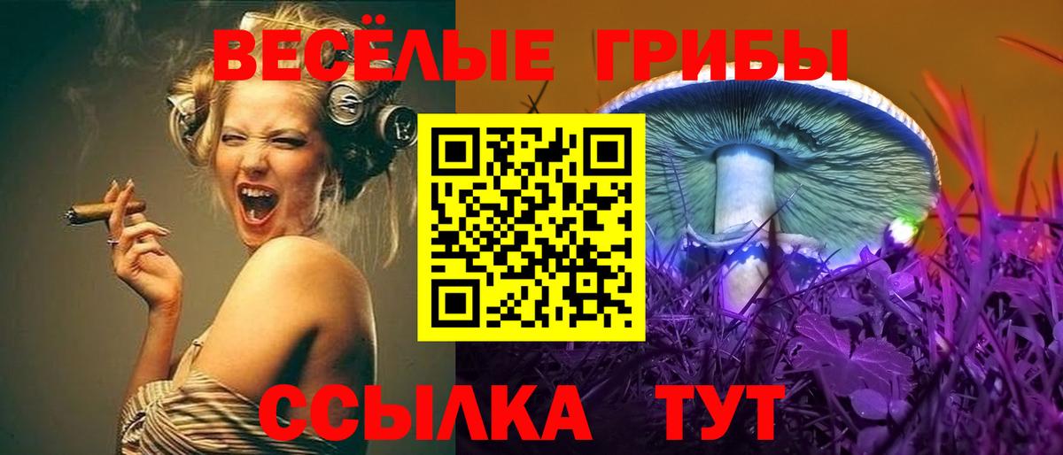 Псилоцибиновые грибы мухоморы Юрга